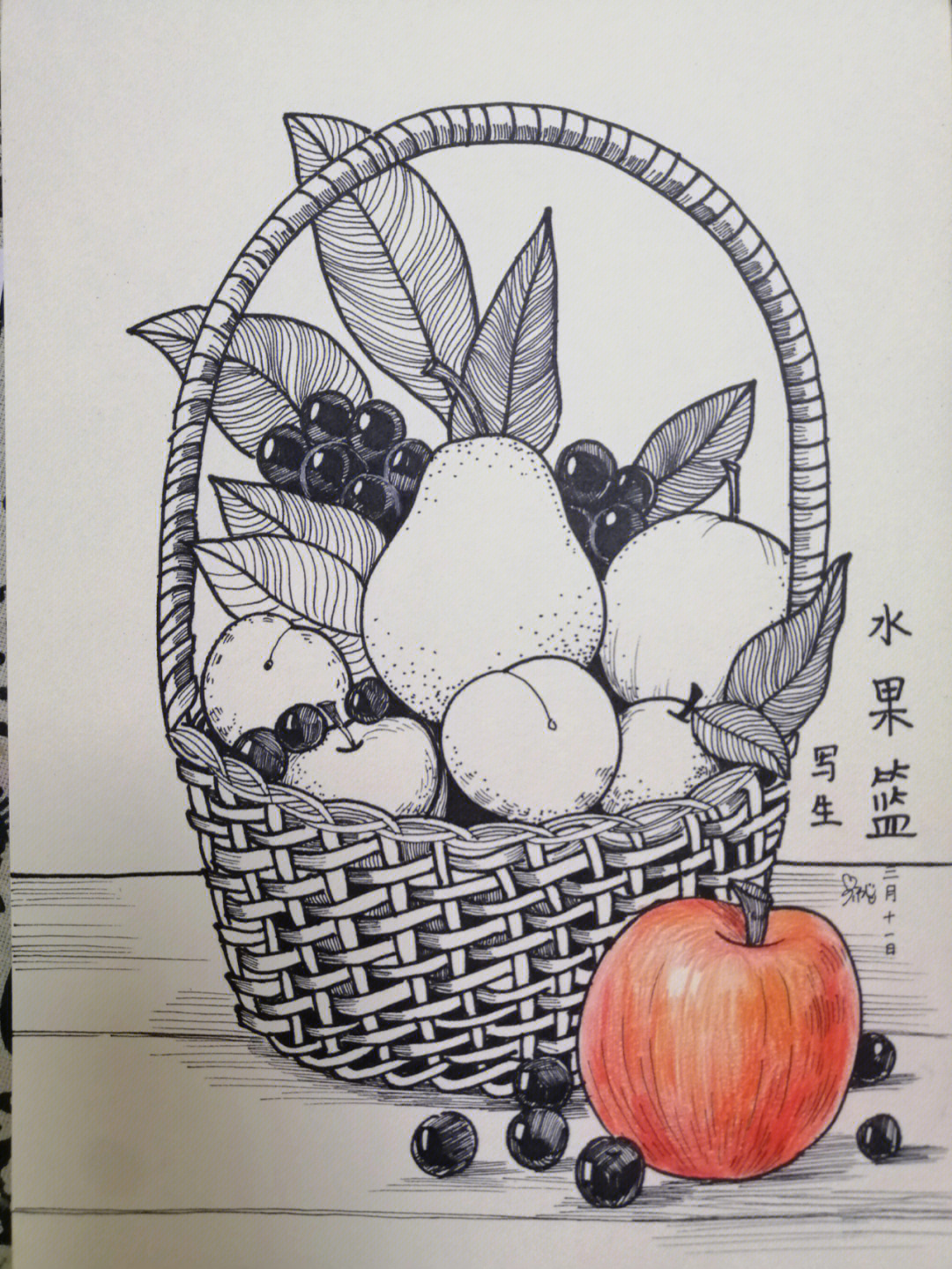 篮子里的水果素描图片