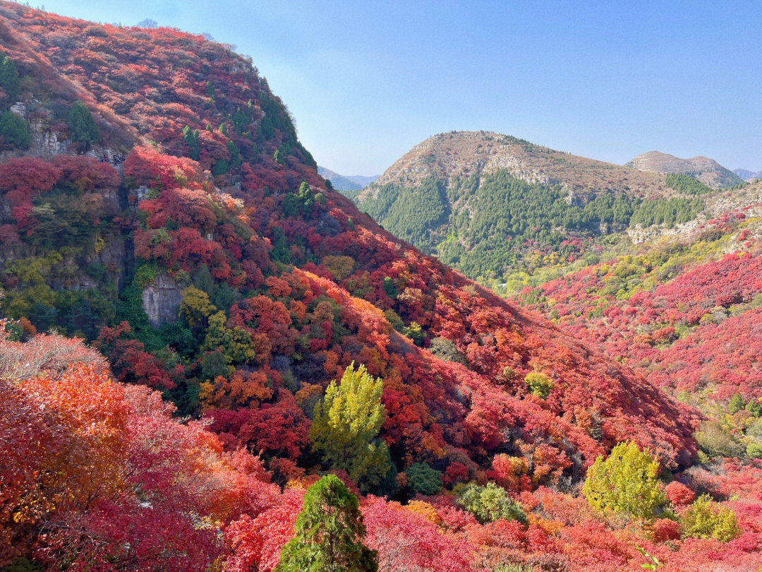 石门坊红叶谷红了秋天爬山也很美呀
