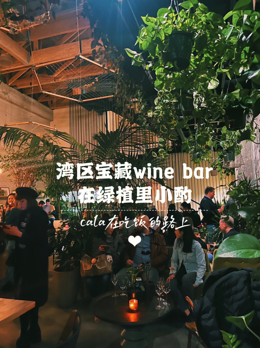 湾区宝藏winebar在绿植中小酌