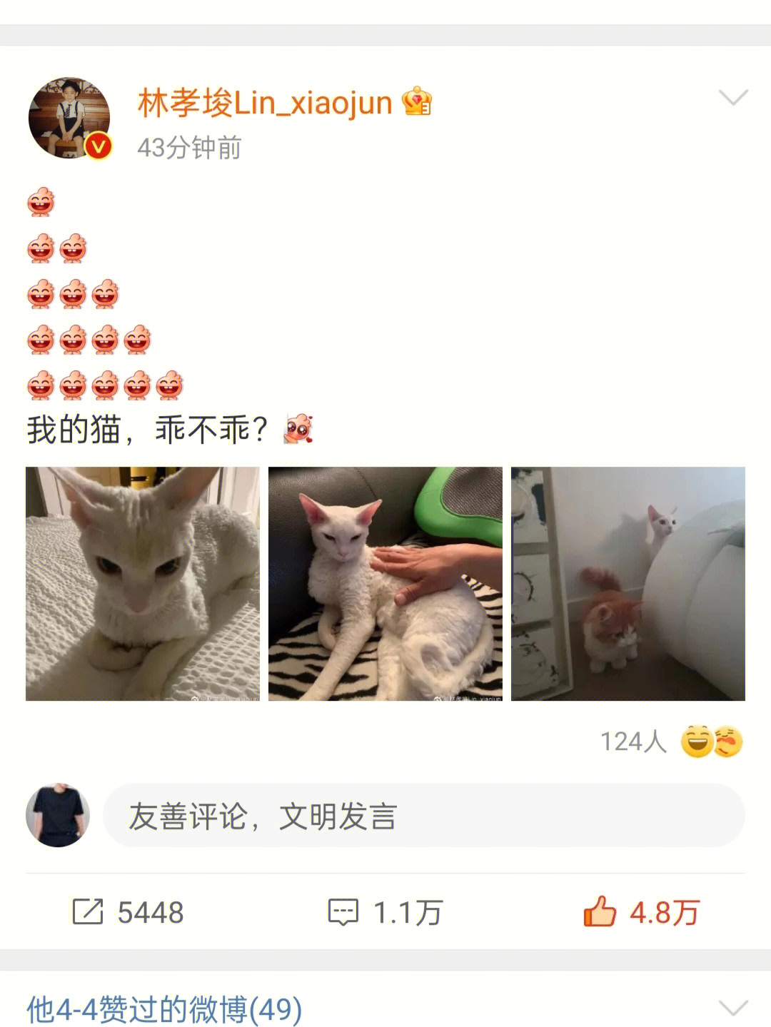 许星纯个人简介图片