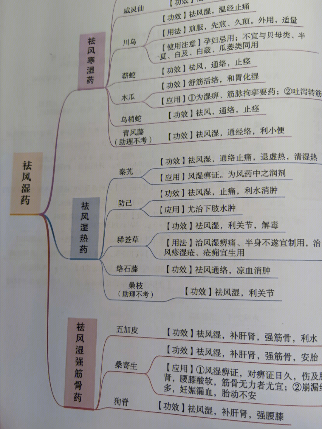 药用植物学思维导图图片