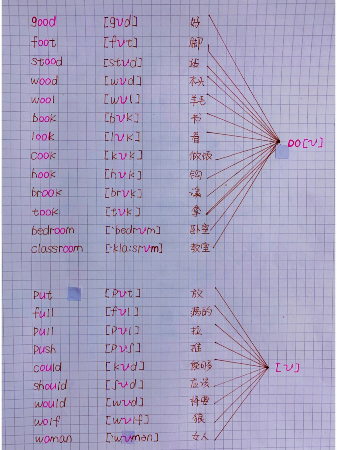 英语音标树