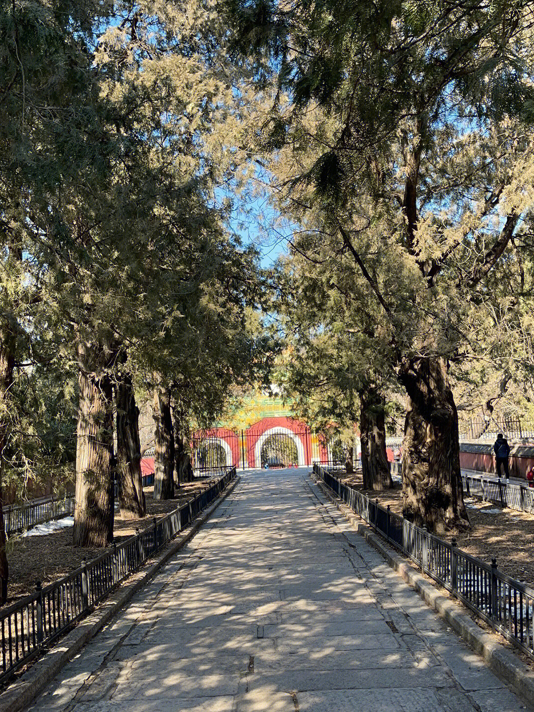 北京西山卧佛寺介绍图片