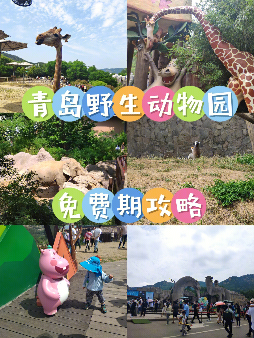 青岛野生动物园地图图片