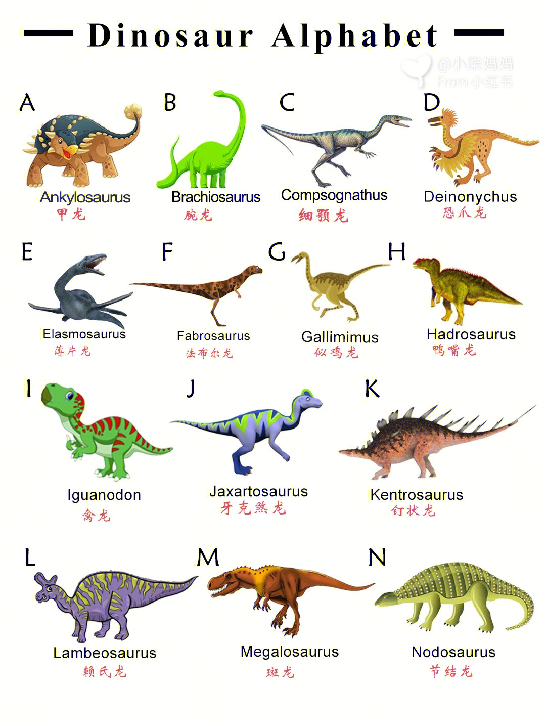 恐龙家族名称大全图片