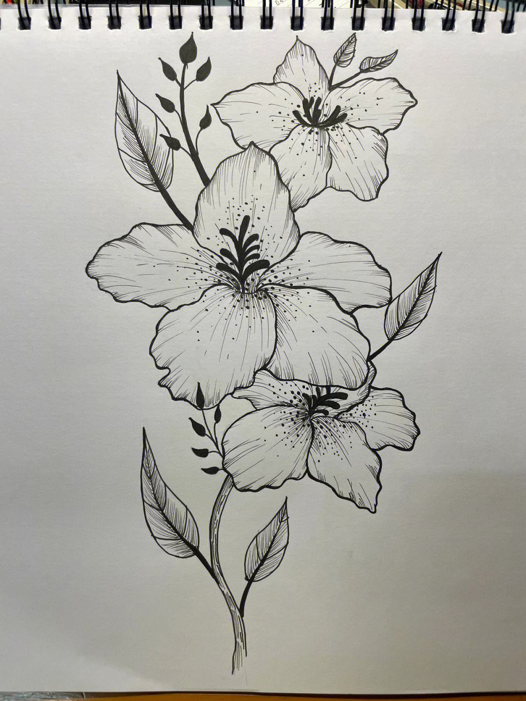 黑白线描花卉临摹