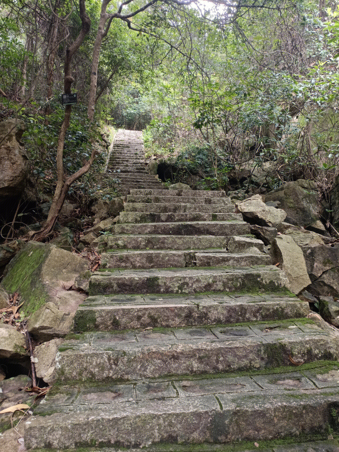 大岭山森林公园全景图图片