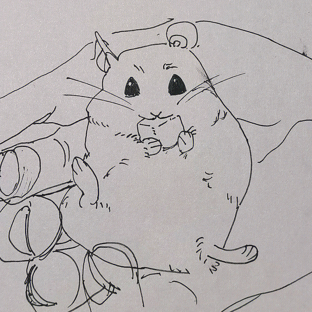 仓鼠简笔画手绘图片