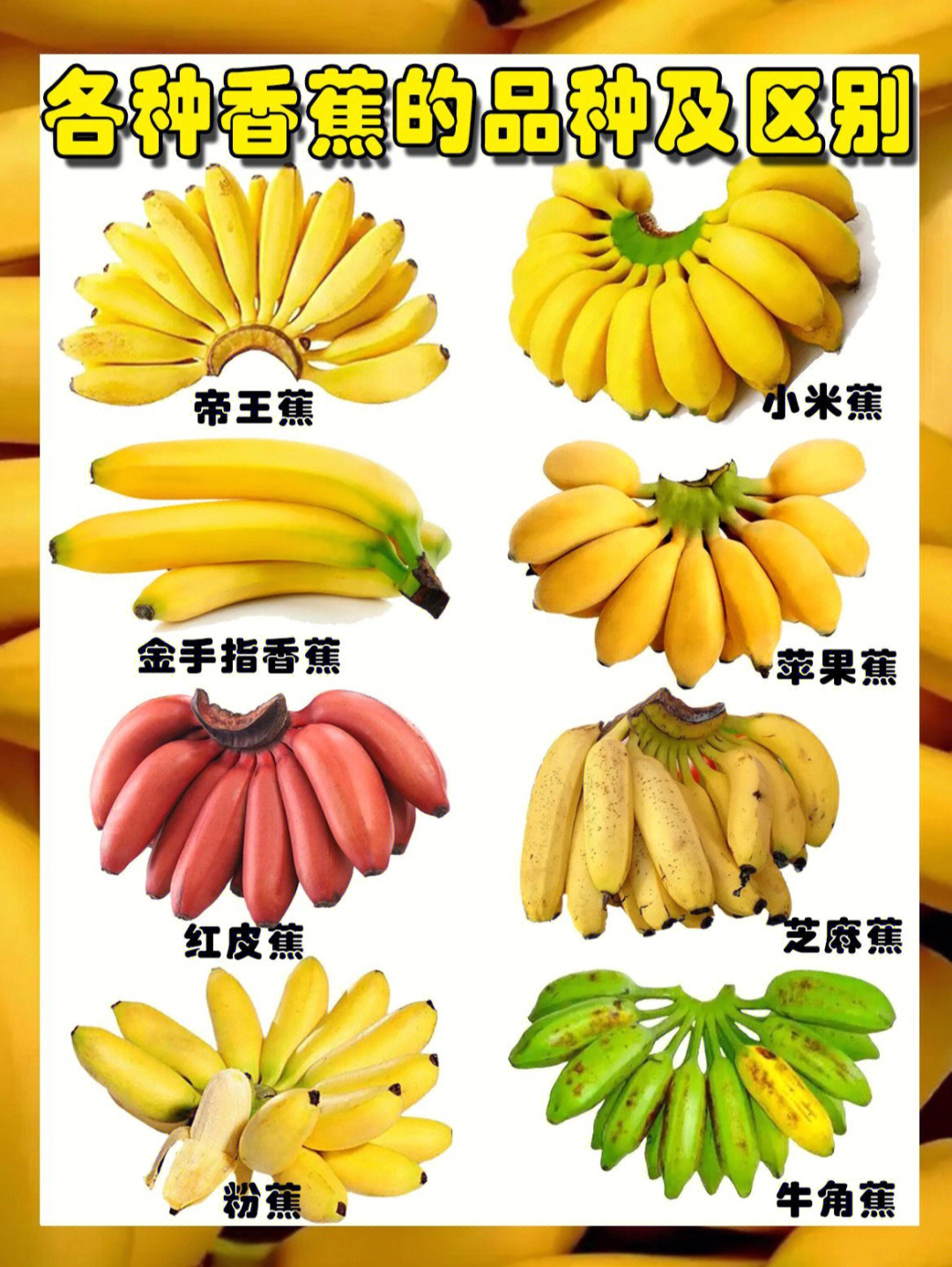 香蕉的品种及分类