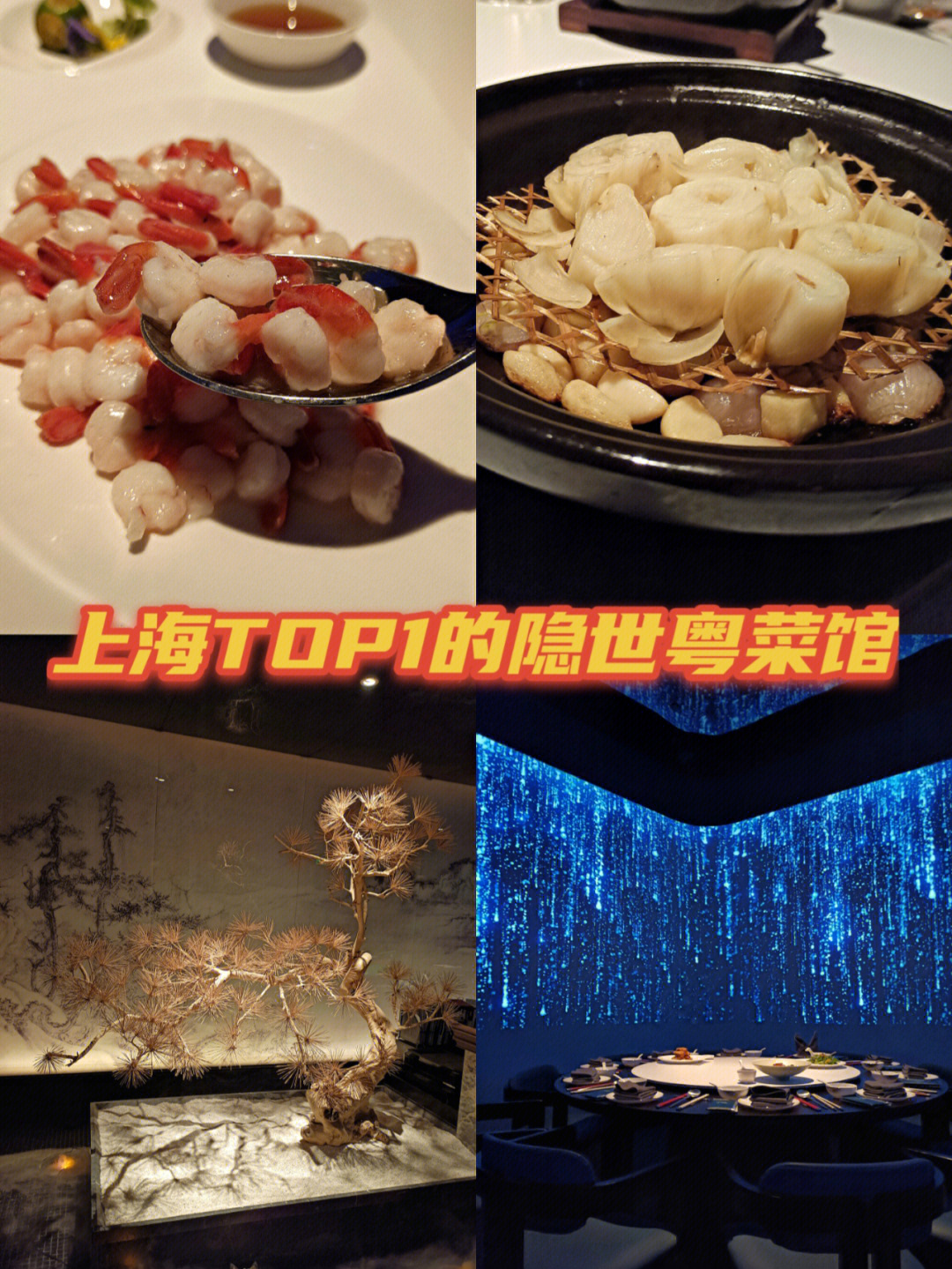 在沉浸式5d投影餐厅用餐到底是什么体验