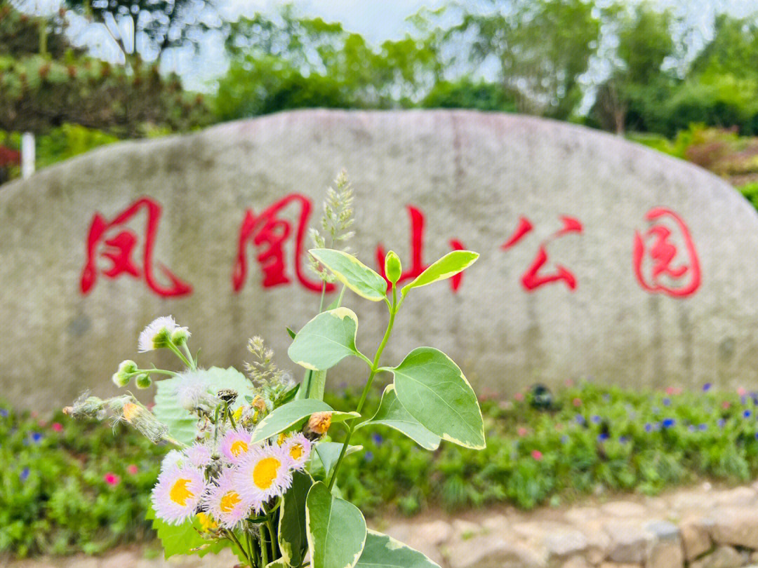 杭州余杭凤凰山公园图片