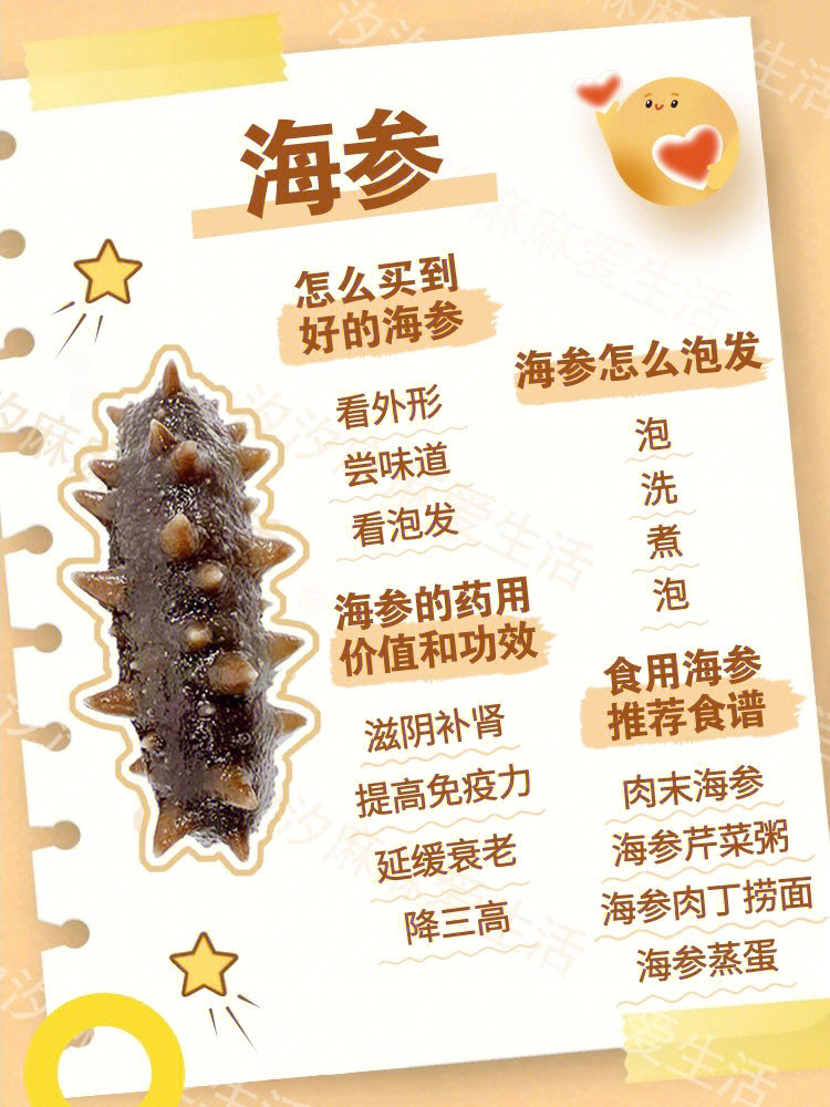 功效[彩虹r]食用海参推荐食谱汐汐麻麻整合了一下让大家看的更直观