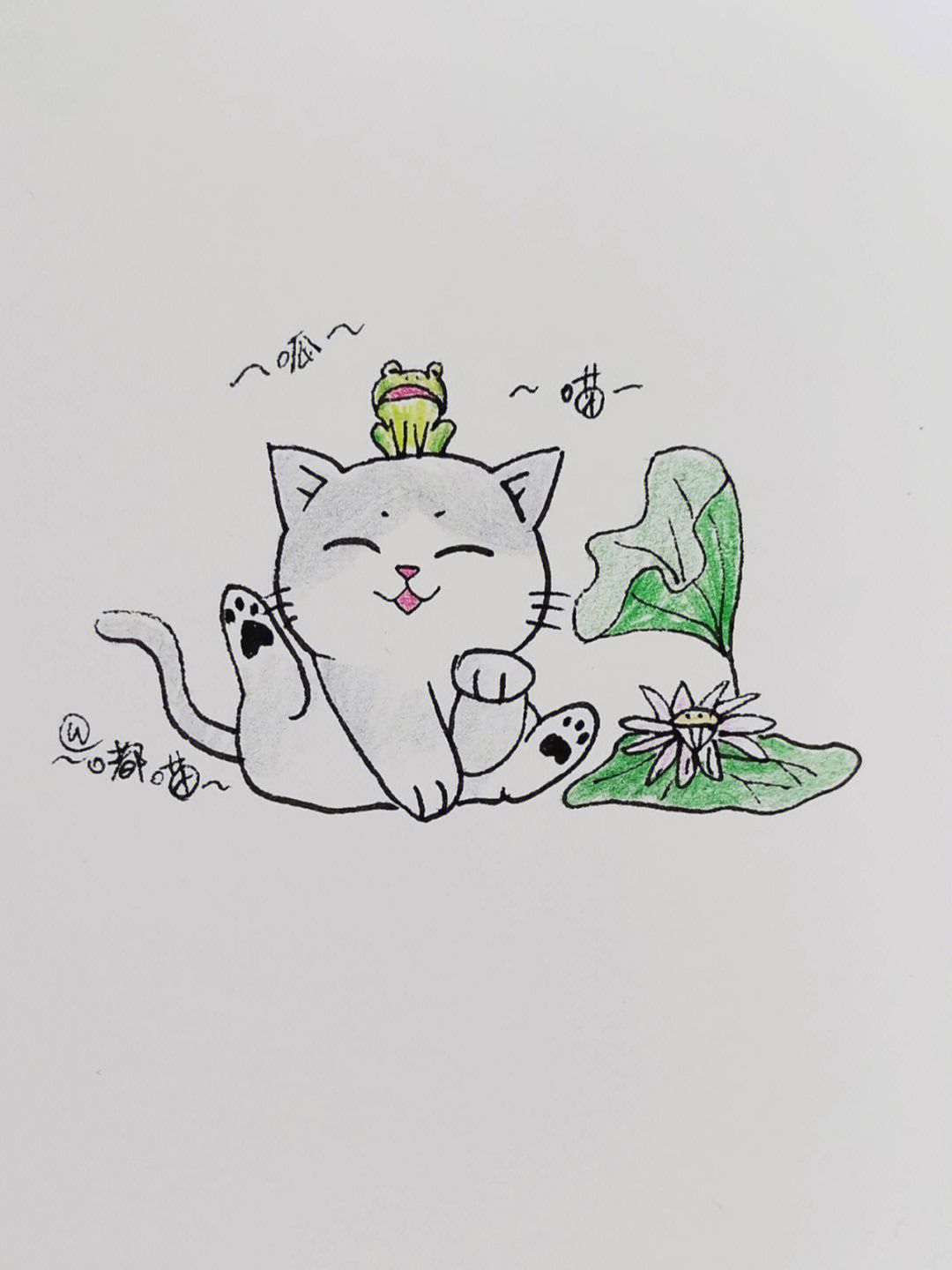 可爱的猫咪简笔画教程59100