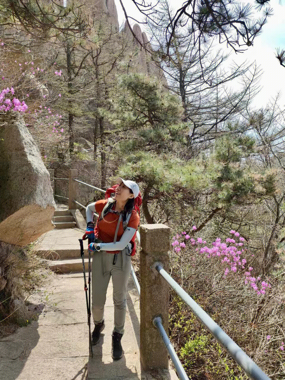 高山杜鹃开了崂山巨峰花瓣雨