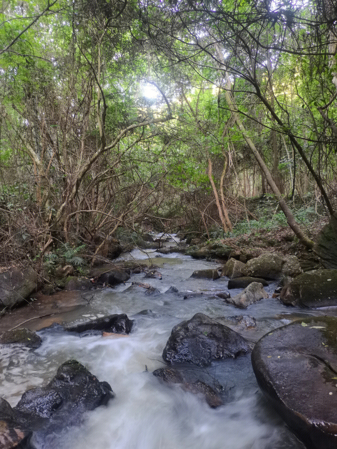 赣州九里峰山一日游图片