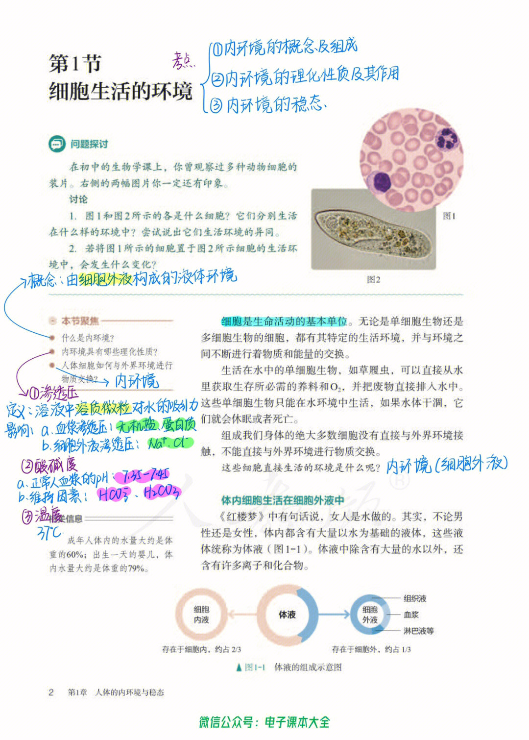 内环境的理化性质图片