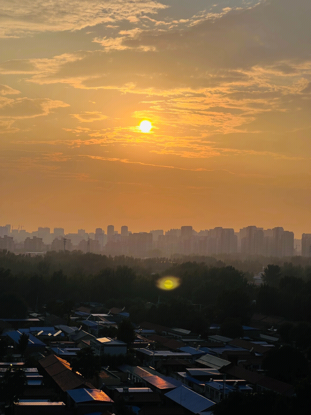 椰林醉斜阳图片