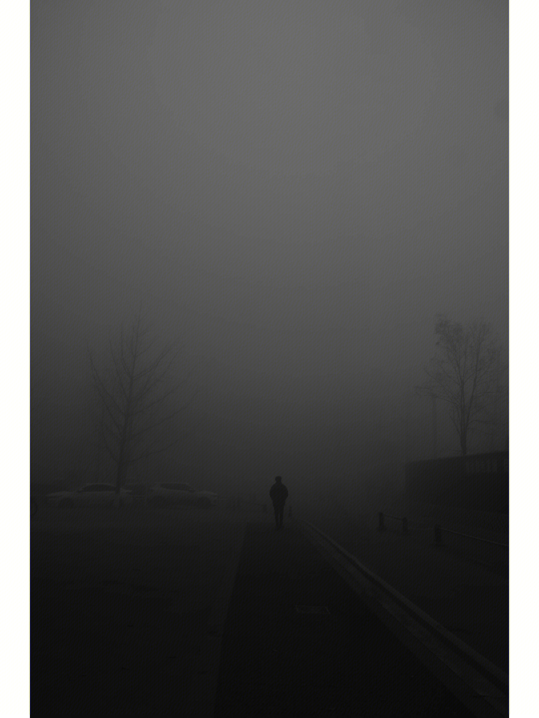 寂静岭大雾图片图片