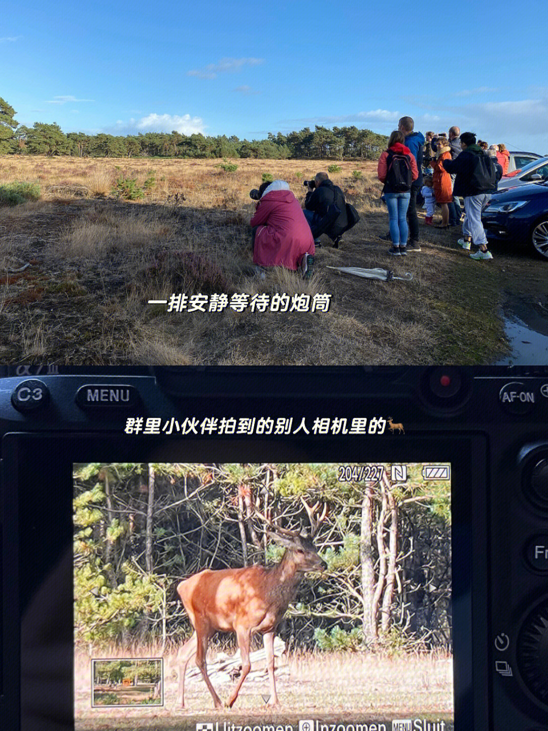 梵高国家森林公园来一次就直接爱上