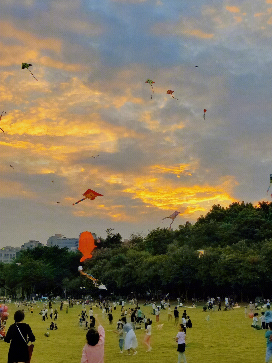 深圳风筝广场图片