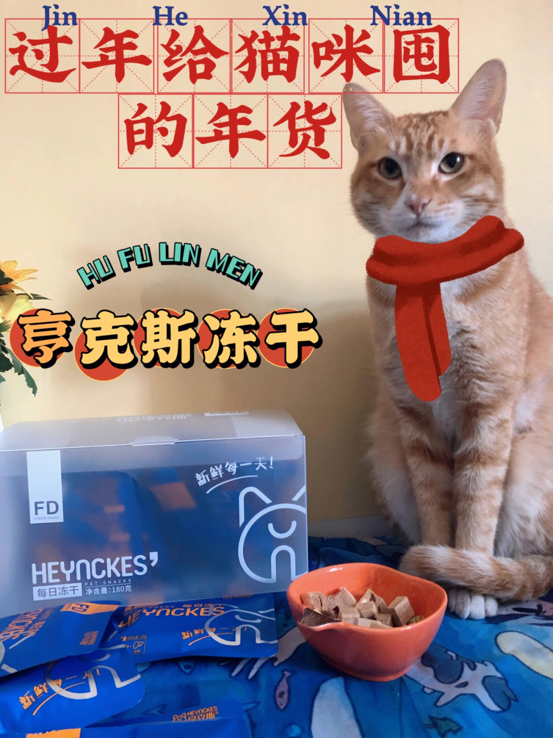 观复猫过年说完整版_观复猫 黑包包 车祸_观复博物馆猫