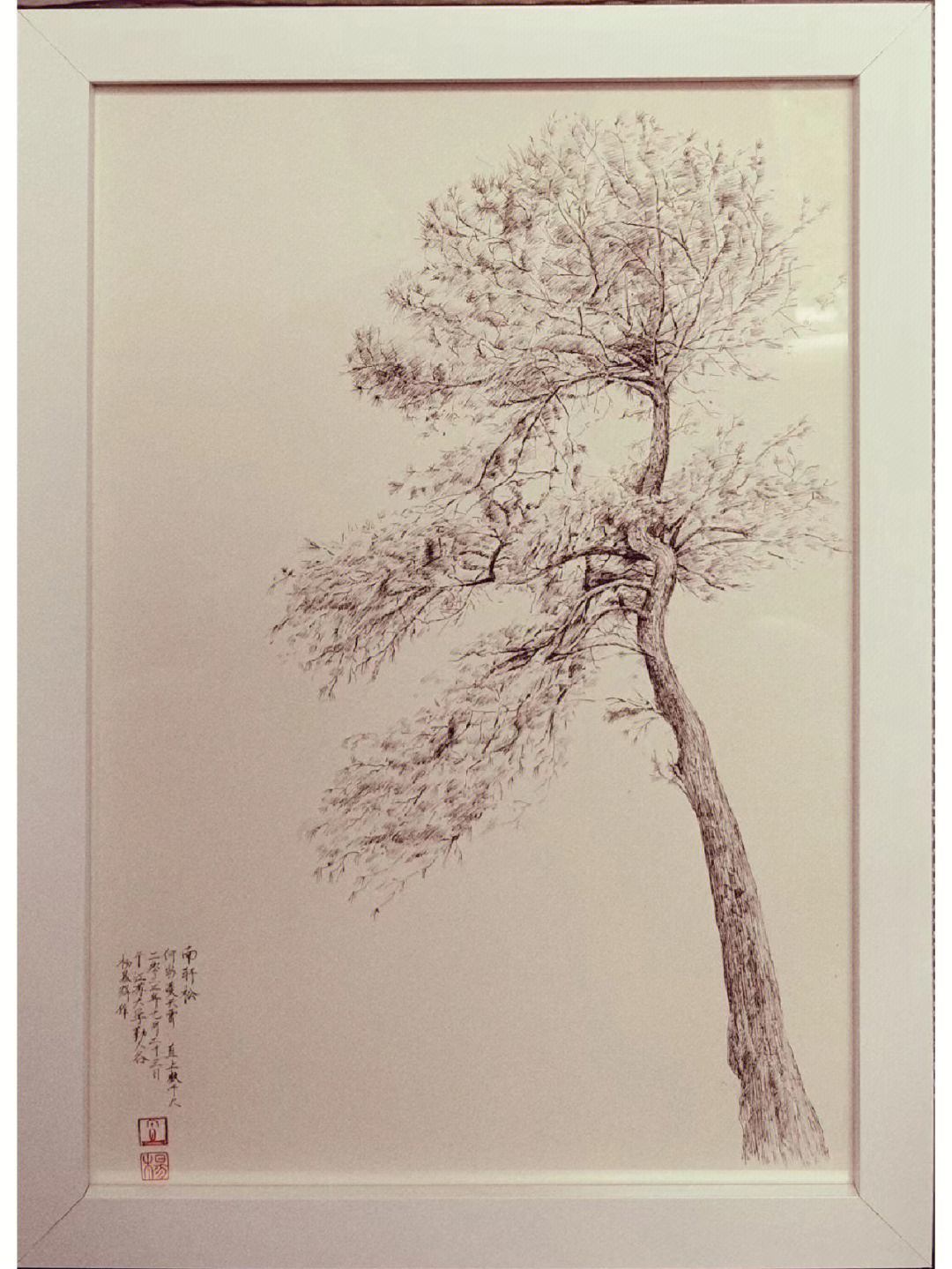 钢笔画松树