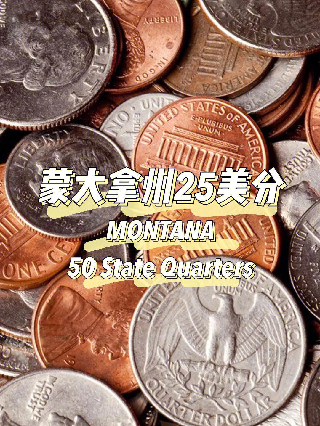 每天认识一枚硬币蒙大拿州25美分montana