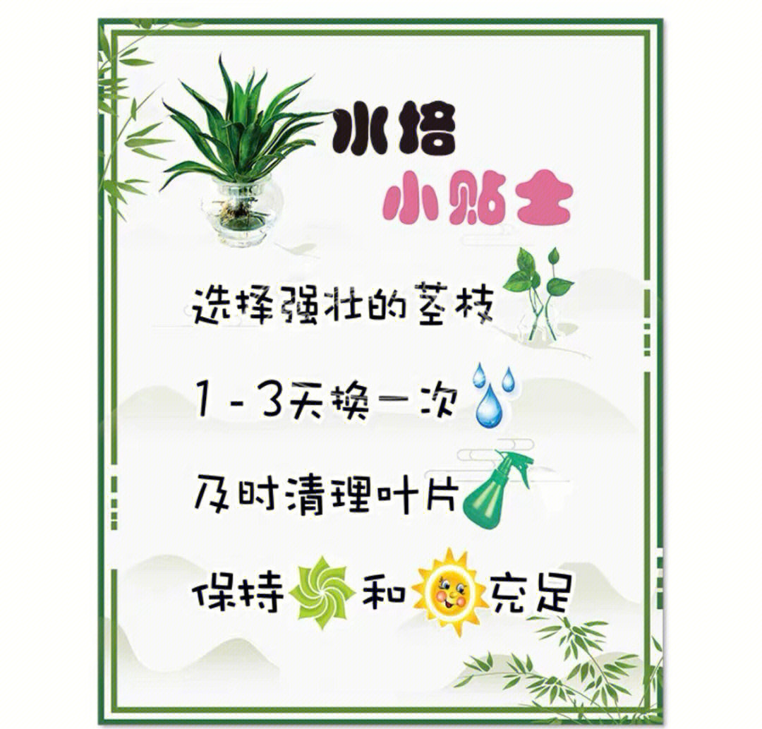 植物角养护公约图片图片