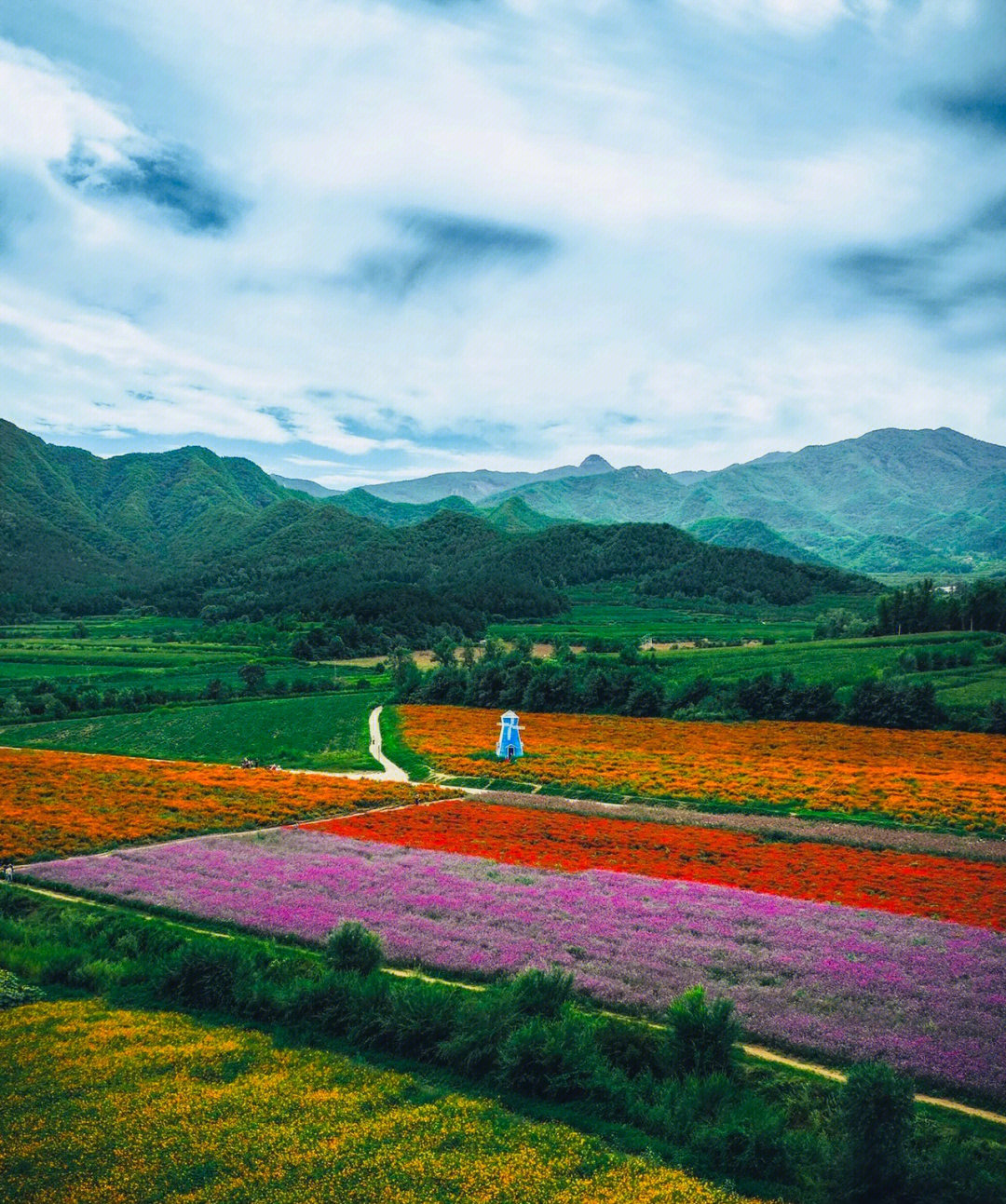 北京延庆美丽夏都四季花海