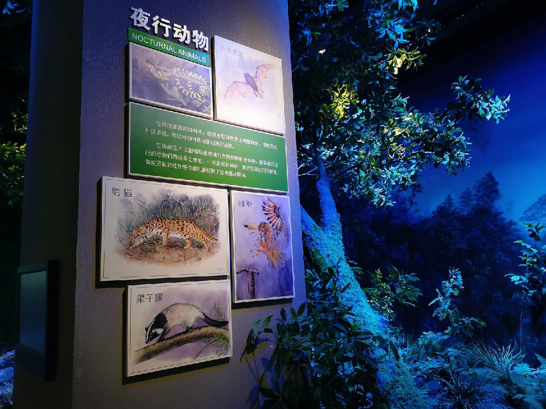 暑假游玩打卡浙江自然博物馆安吉馆
