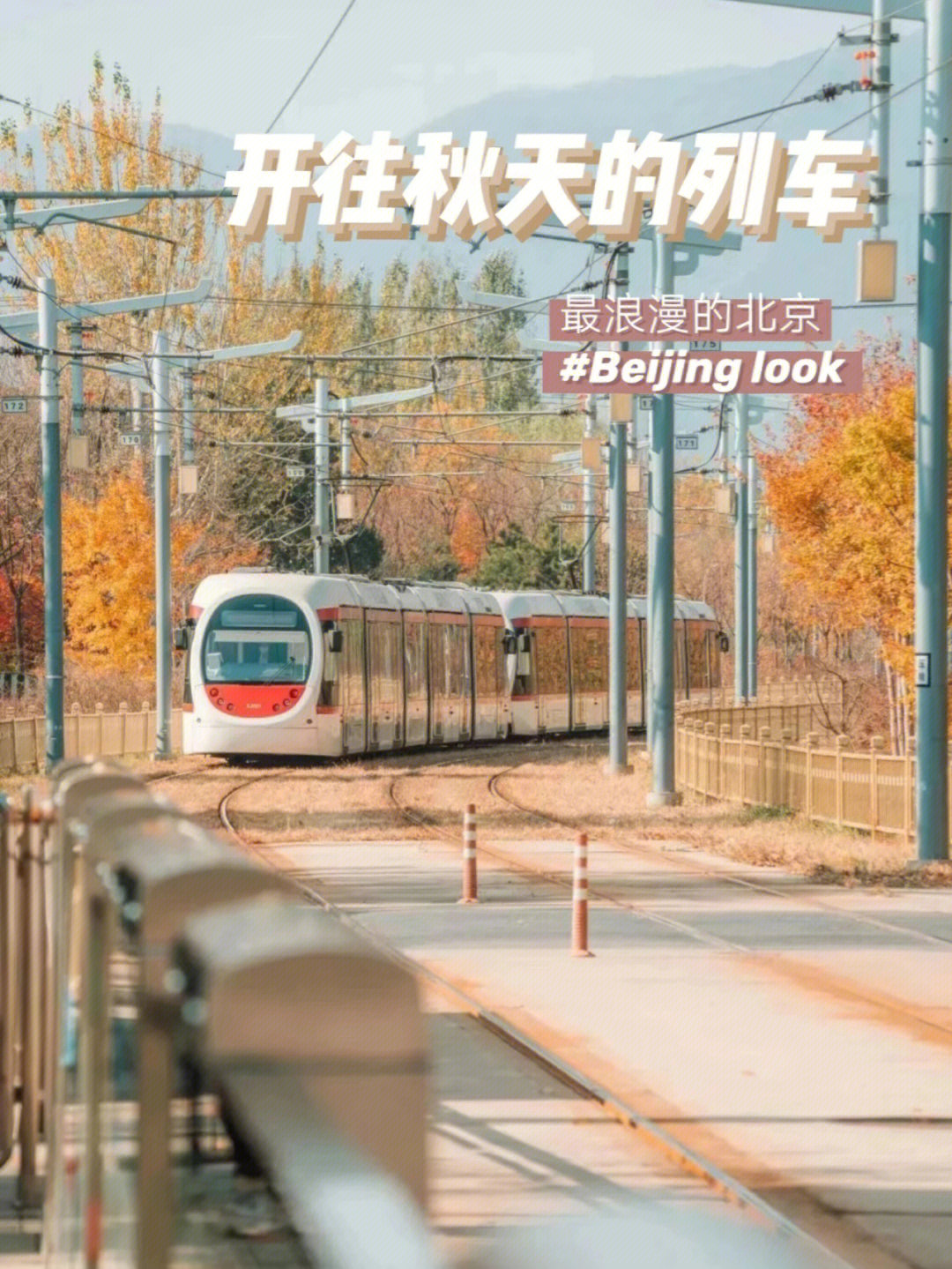 这辆列车开往北京最浪漫的秋天