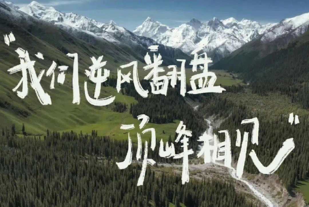逆风翻盘上岸