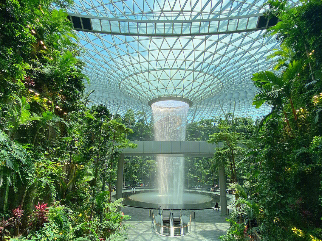 新加坡樟宜机场logo图片