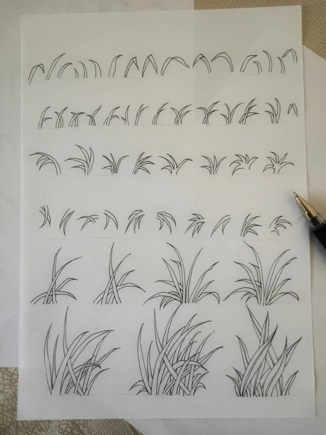 各种草的100种画法图片