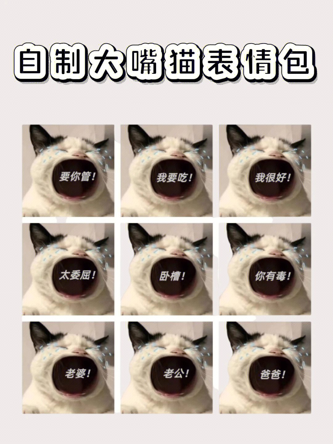 自制大嘴猫表情包快快收入表情库