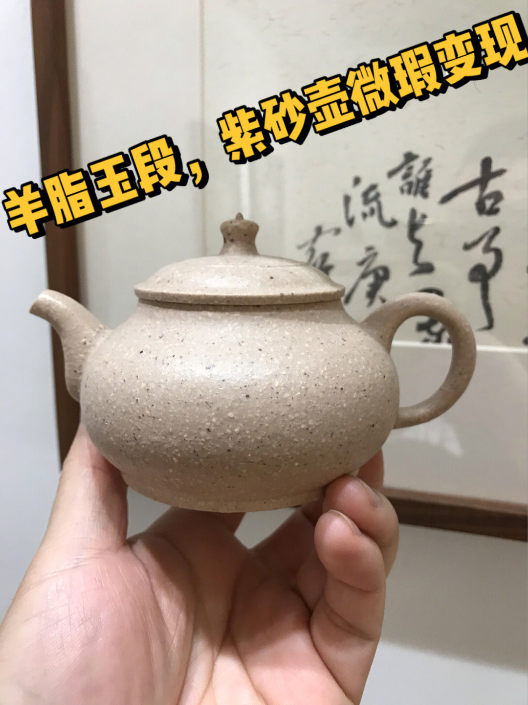 玉砂堂范士玉紫砂图片