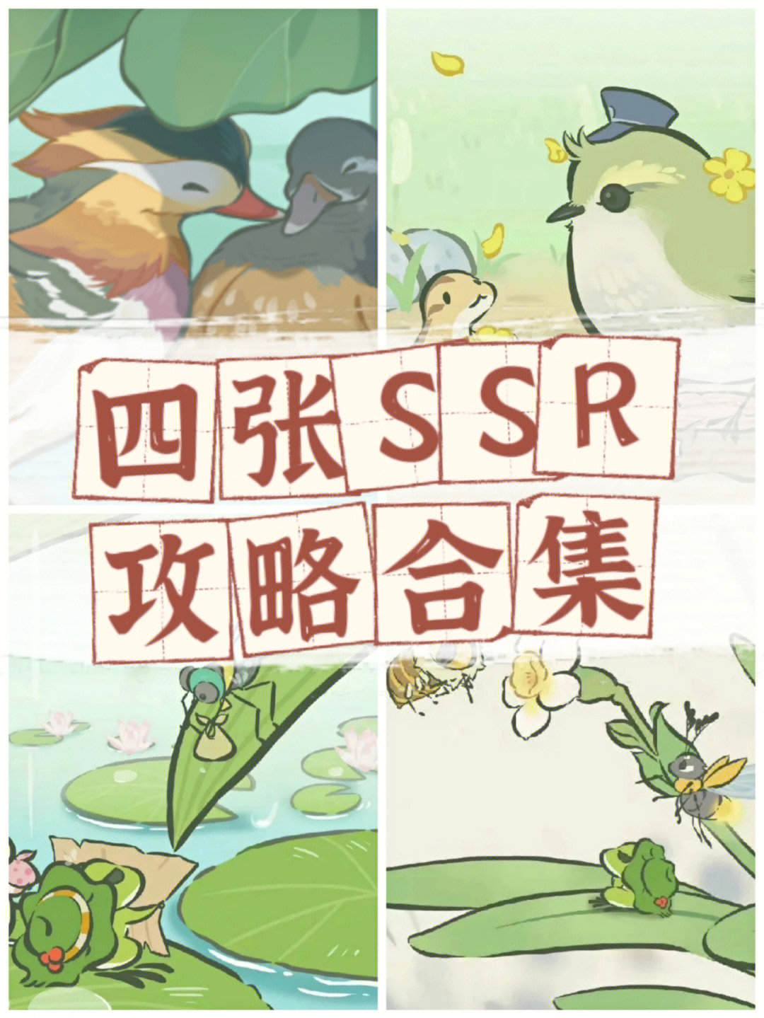 4张新图ssr攻略合集旅行青蛙中国之旅