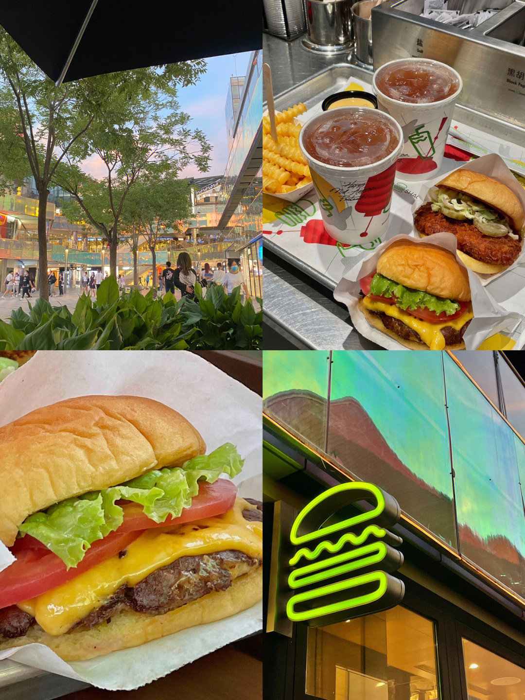 北京探店太太太无敌好吃的shakeshack75