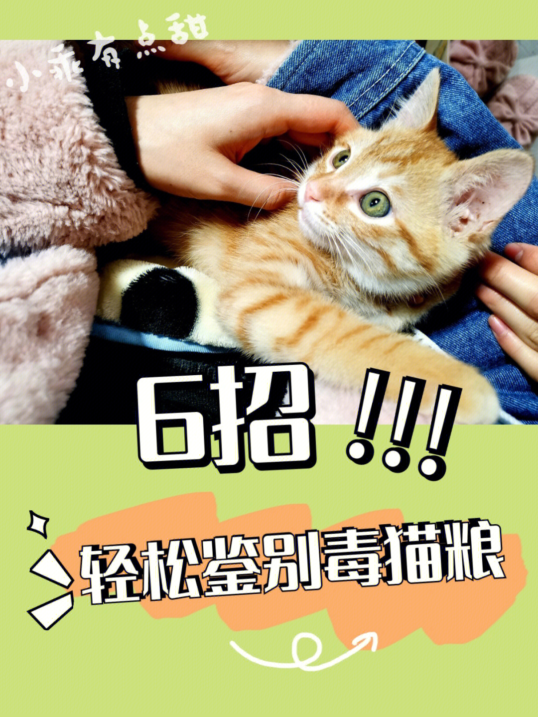 6招教你轻松鉴别毒猫粮757575