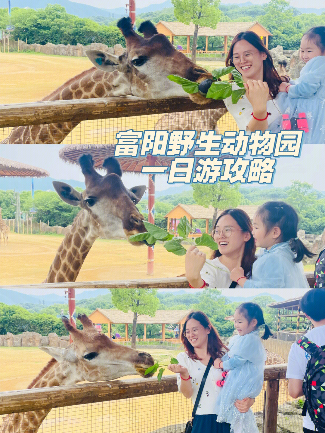 杭州野生动物园多大图片