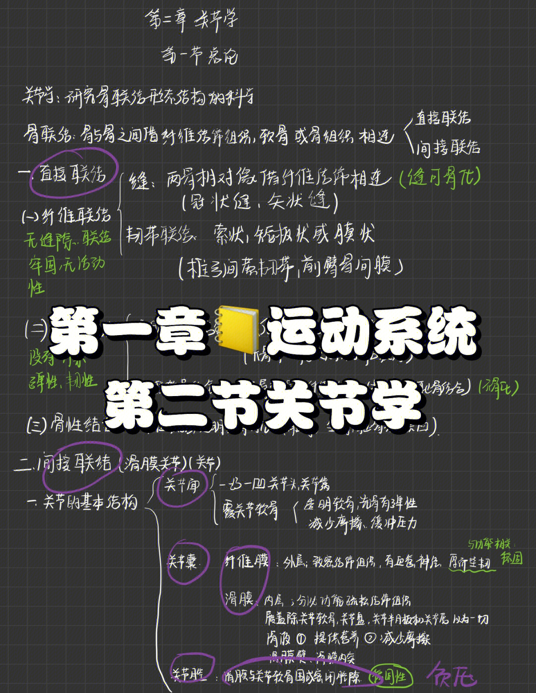 运动解剖学笔记重点图片