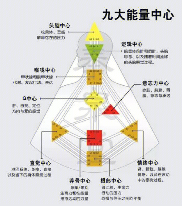 人类图测试图片