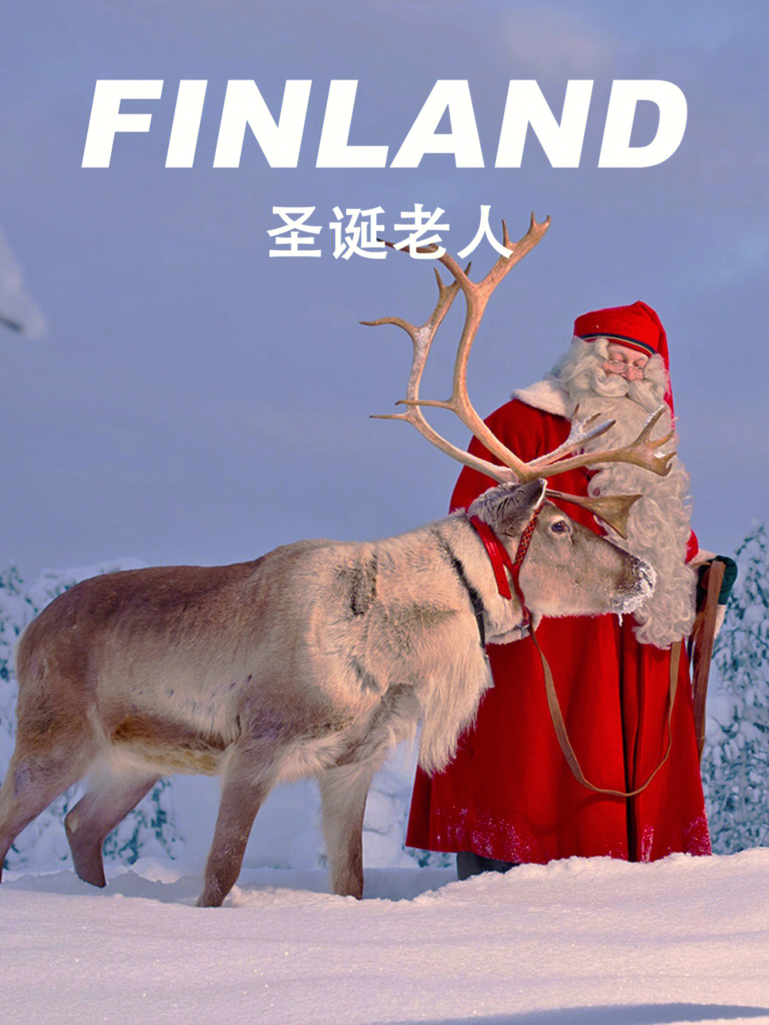 地球人都知道,那个真正而唯一的圣诞老人9199就住在芬兰