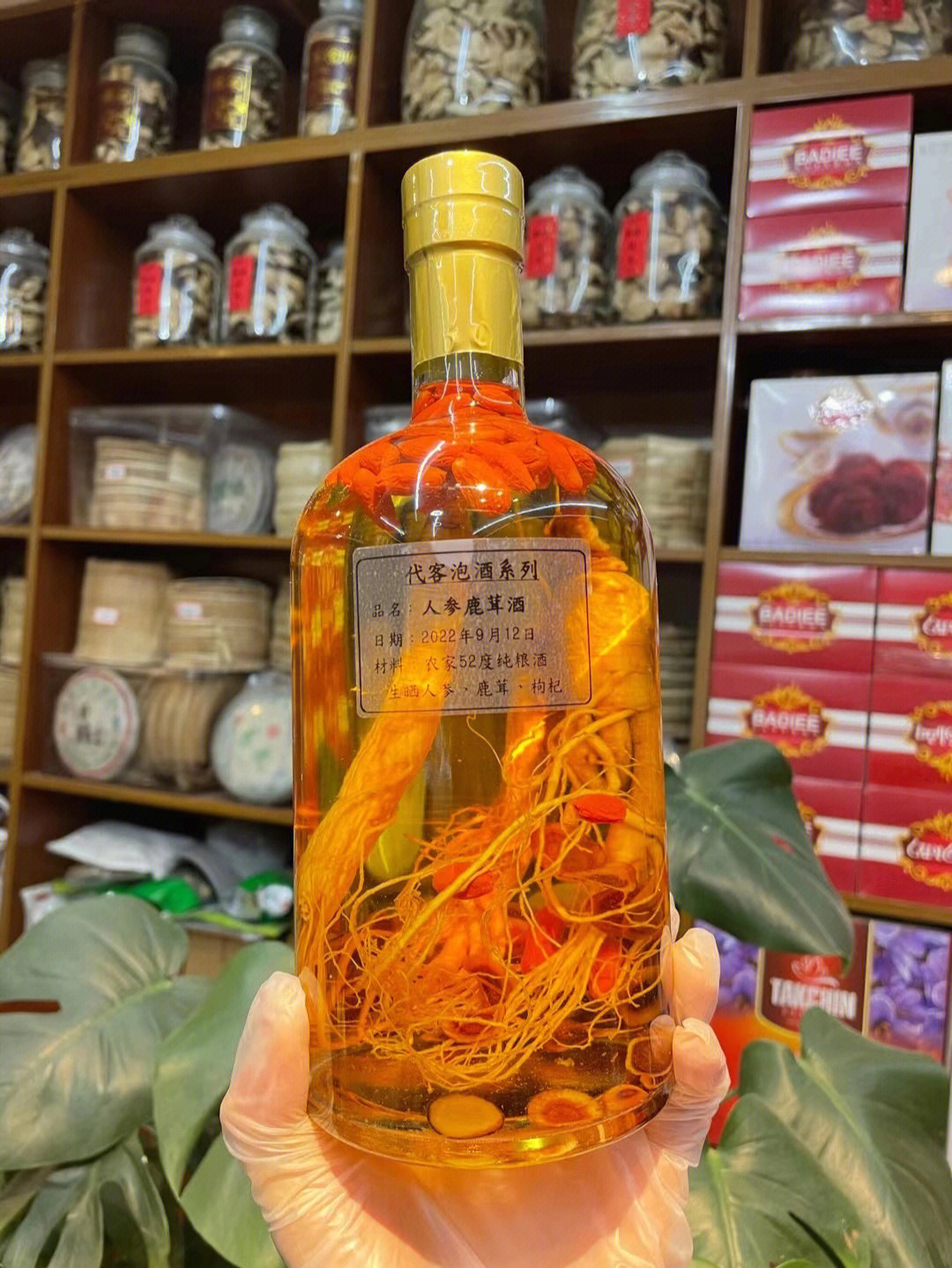 仙茅助阳酒图片