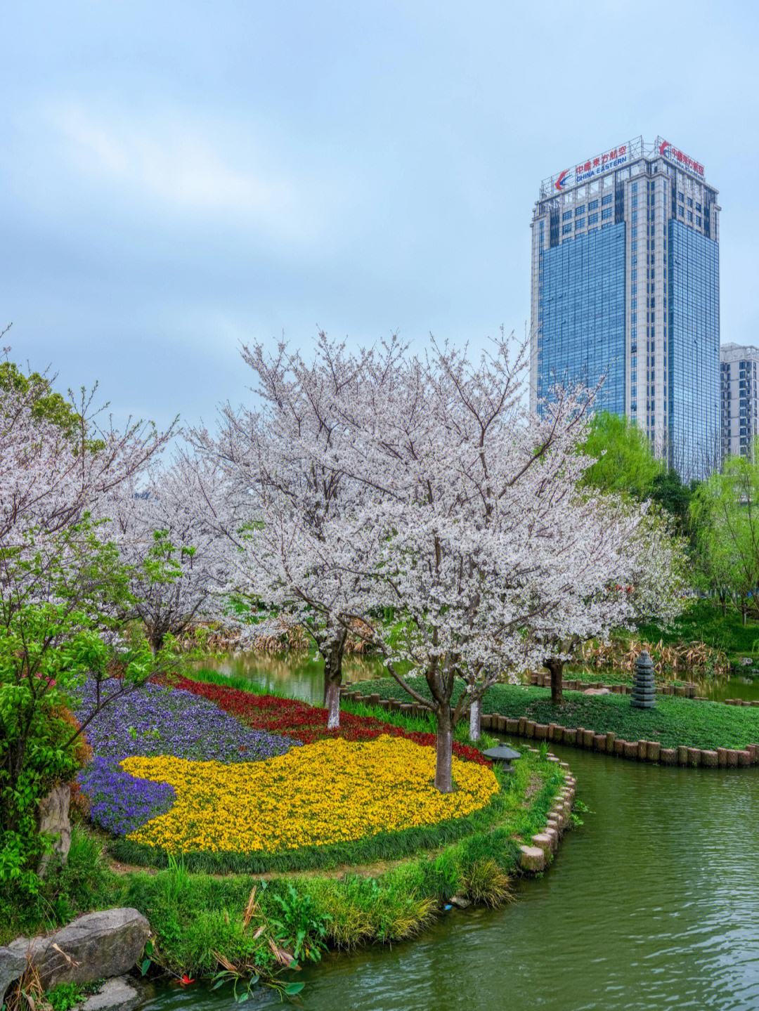 宁波樱花基地图片