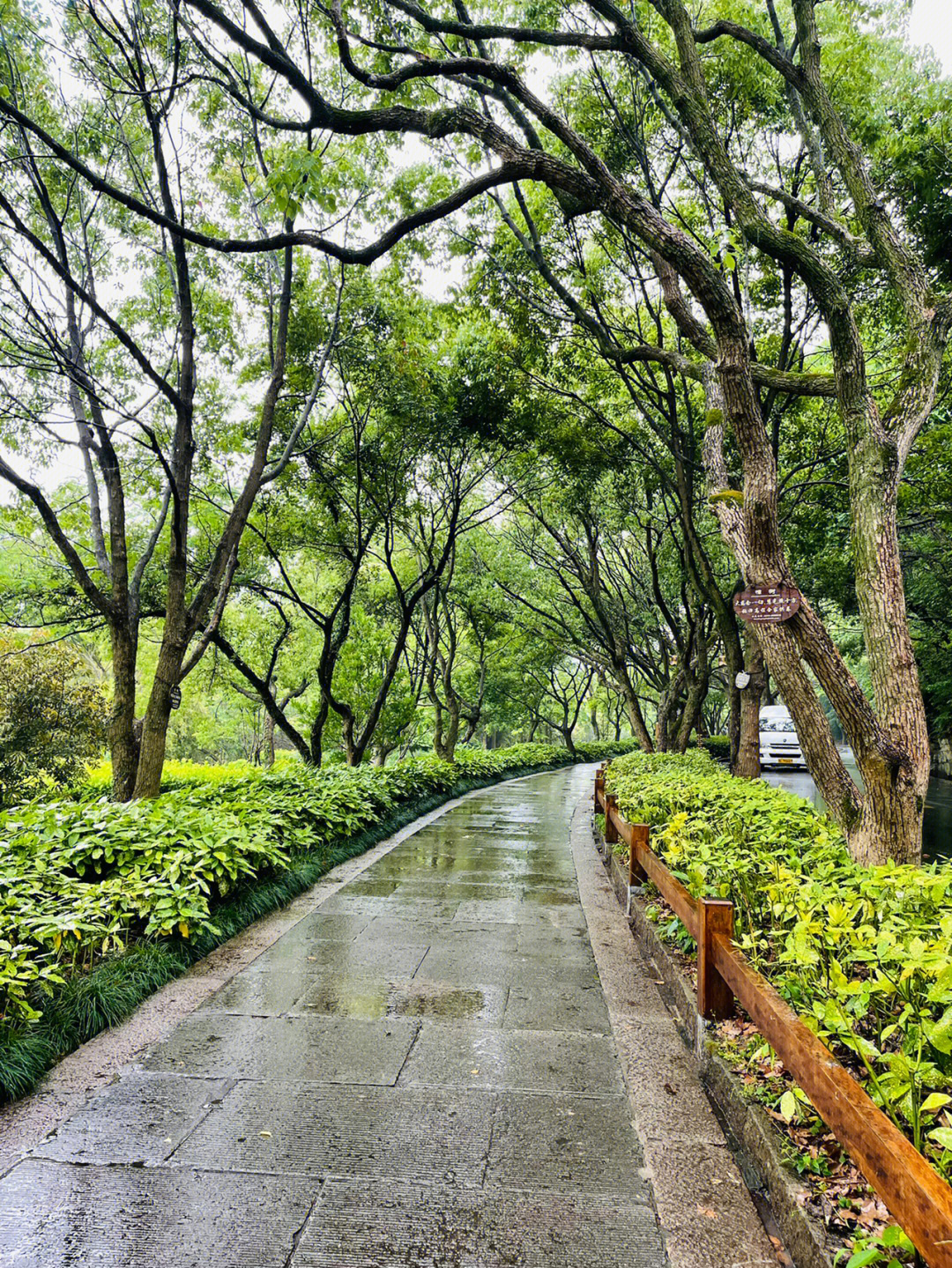 普陀山雨天图片图片