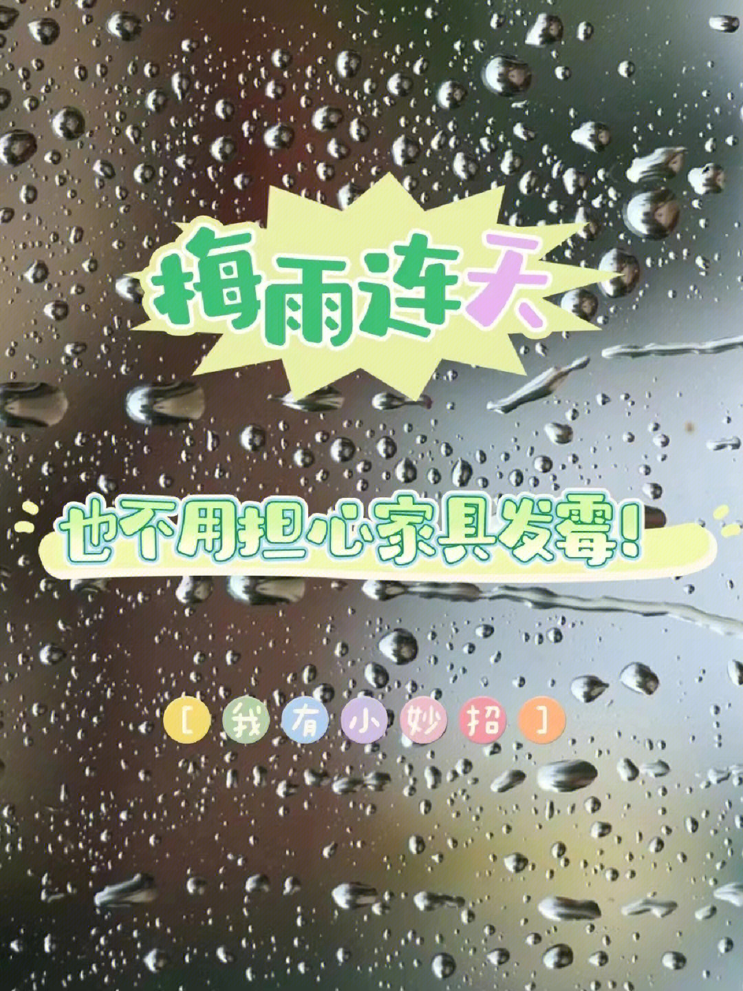 广州梅雨季图片