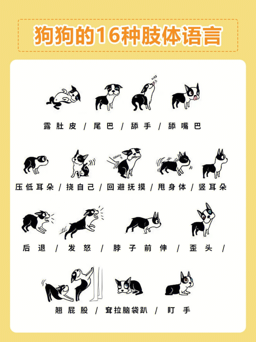 16个狗狗肢体语言你知道几个