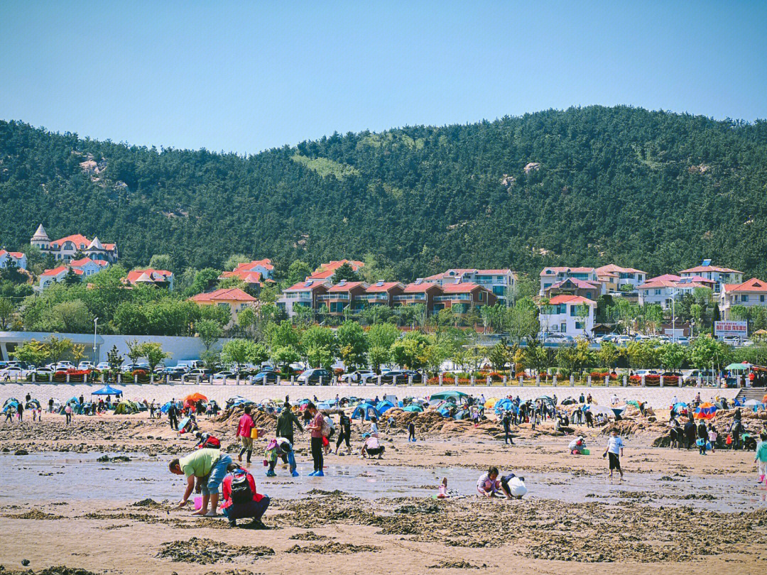 崂山会场赶海园图片