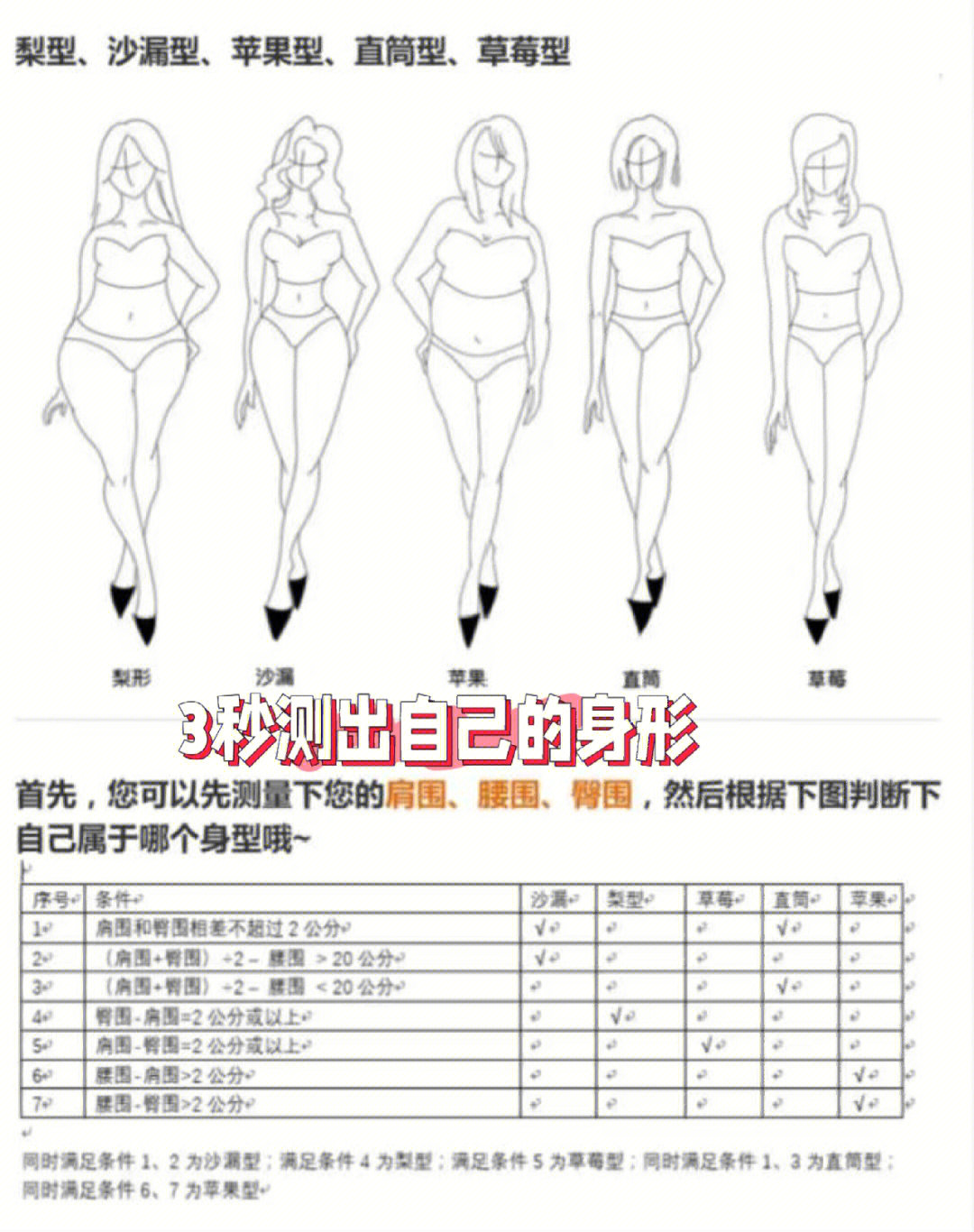 身材体型测试图片